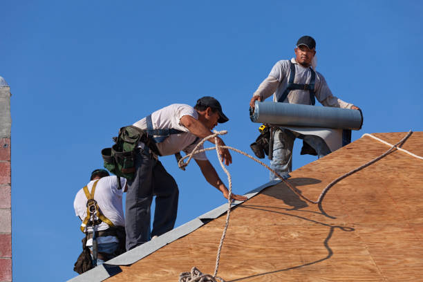 Best Commercial Roofing Services  in Toluca, IL