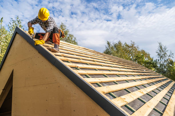 Roof Gutter Cleaning in Toluca, IL