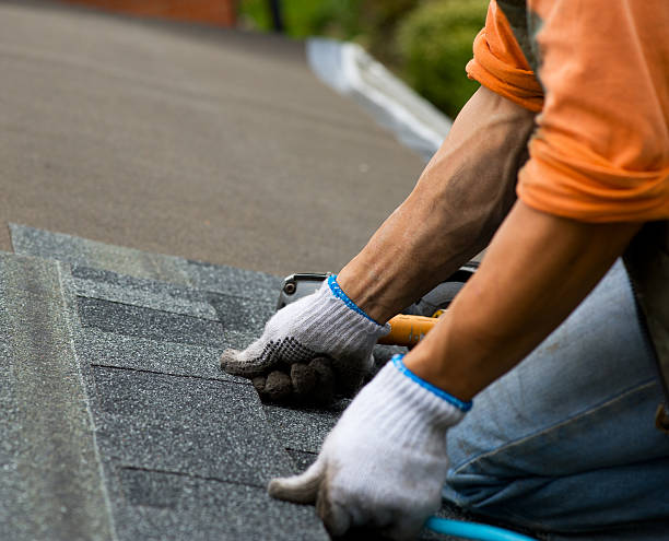 Best Roof Leak Repair  in Toluca, IL